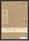Diatomeae indet. (de-Toni-Nr.: Species 1847 ? var.) Zeichnungen Sammlung Grunow Nr. 3727 (NHMW-BOT-W0371366)